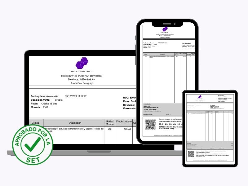Guía Completa de Facturación Electrónica en Paraguay